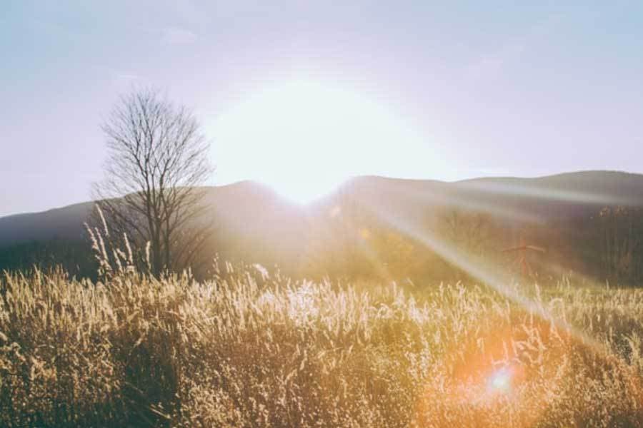王一博挑战极限项目纪录片全程不用替身