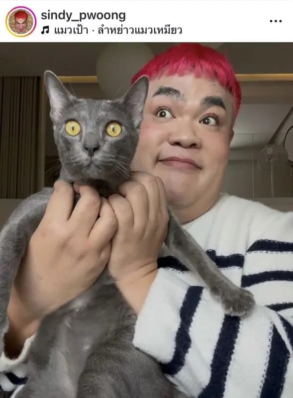 Pingpong分享乐天派生活哲学与工作态度