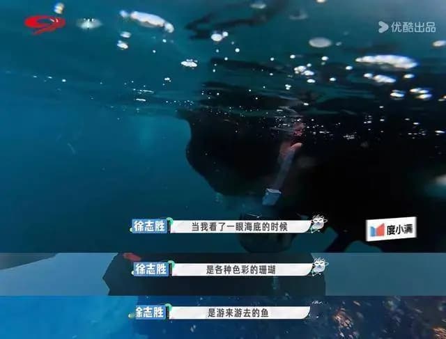 嘉宾感叹水下世界奇妙景色
