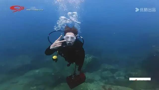 嘉宾在海边奔跑享受自由时光