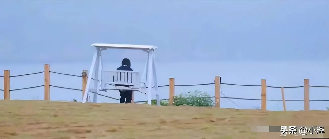 王传君的文艺气质与李雪琴的消极状态形成鲜明对比