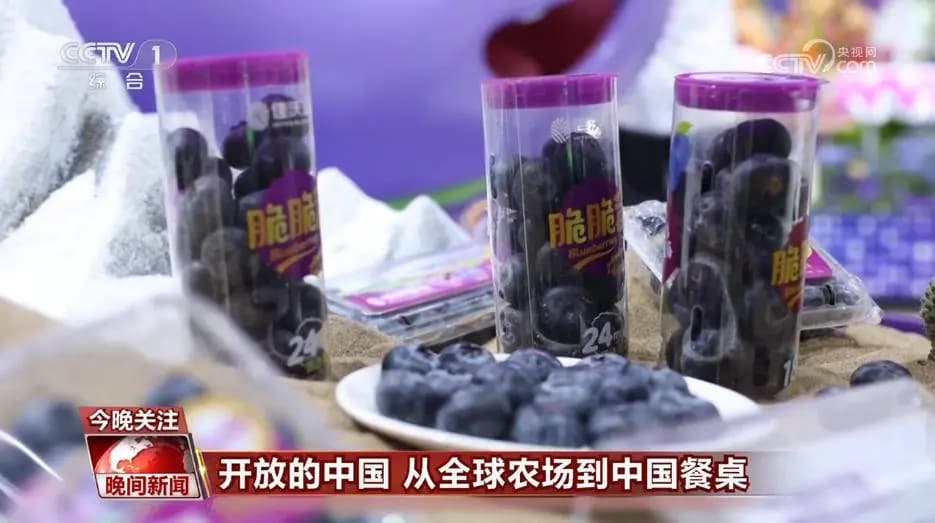 进博时间开始在一个个展区内感受开放的中国