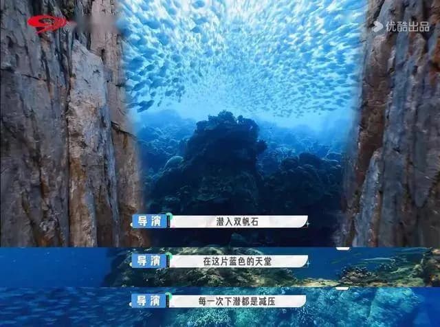 潜水员在双帆石海底拍摄鱼群