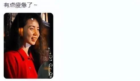 黄磊与孙莉并肩同行,展现夫妻默契