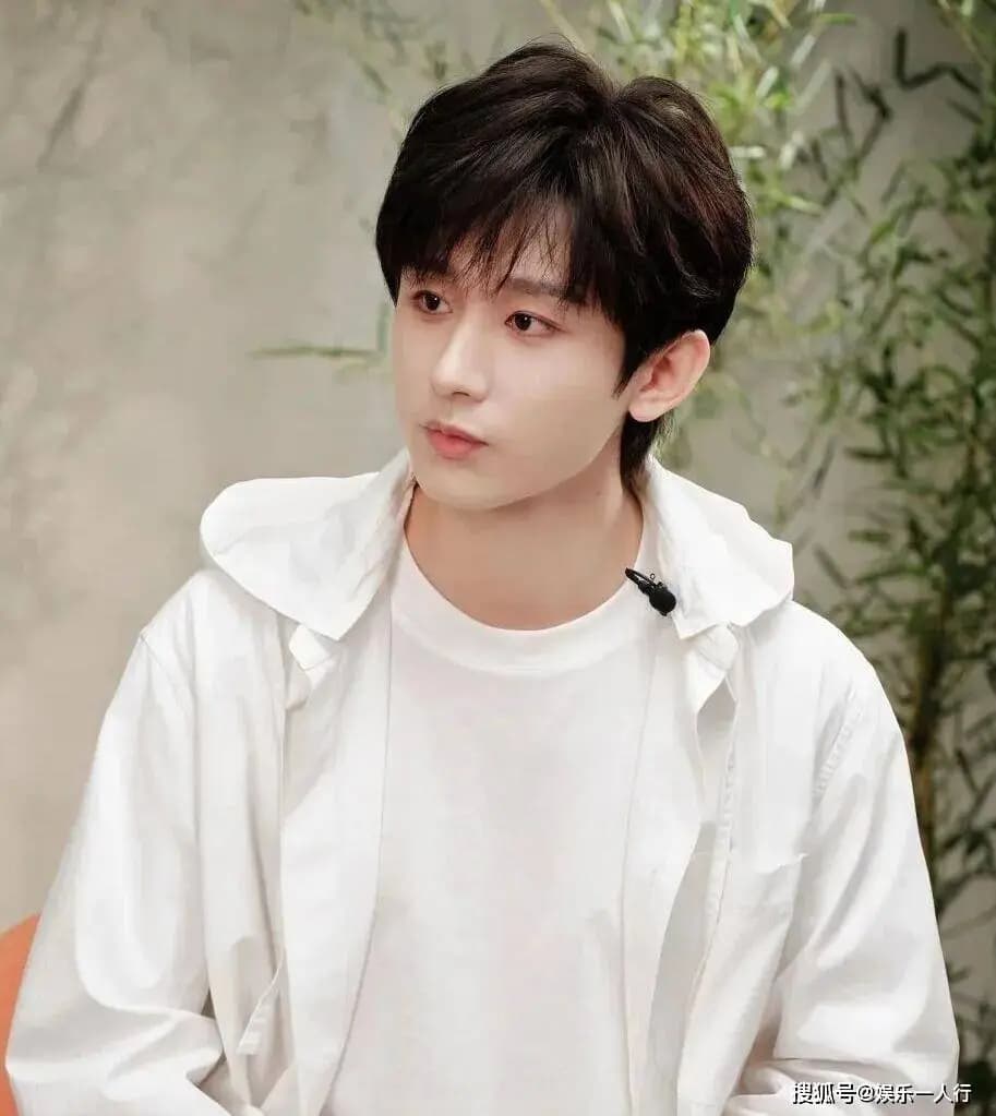 成毅琉璃云歌会争议与全网黑历史