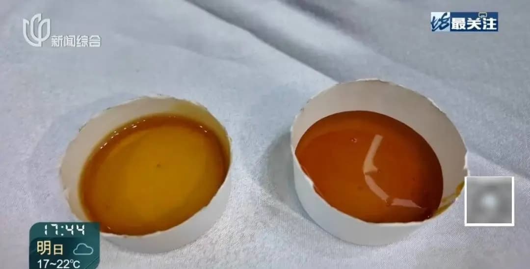 工作人员向观众介绍澳洲红柳桉蜜的稀缺性与产地