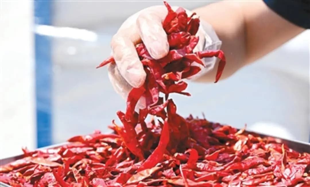 山东青岛中青大冷仓库内的卢旺达干辣椒,展示中卢农业贸易合作成果