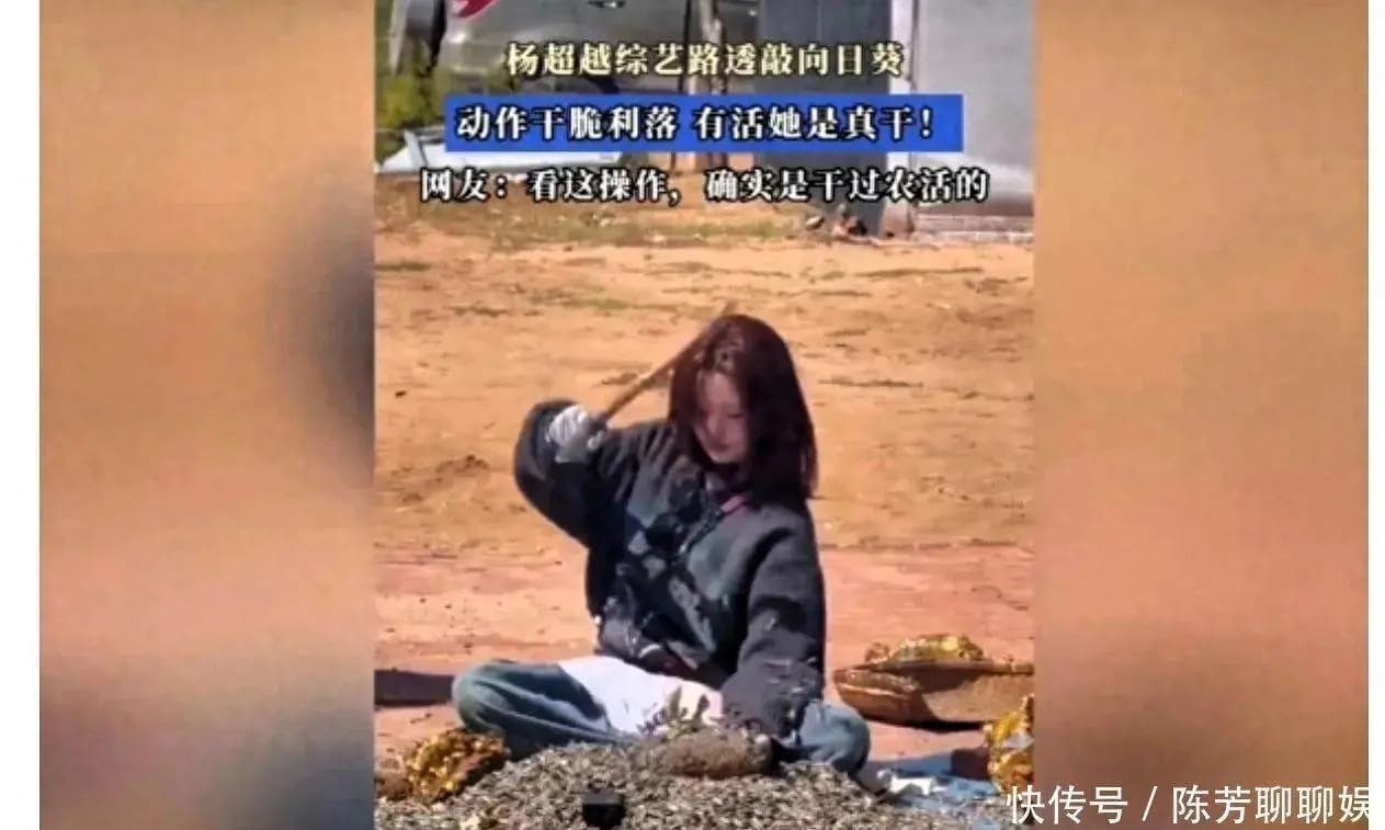 杨超越在综艺节目中展现真实的农家生活技能