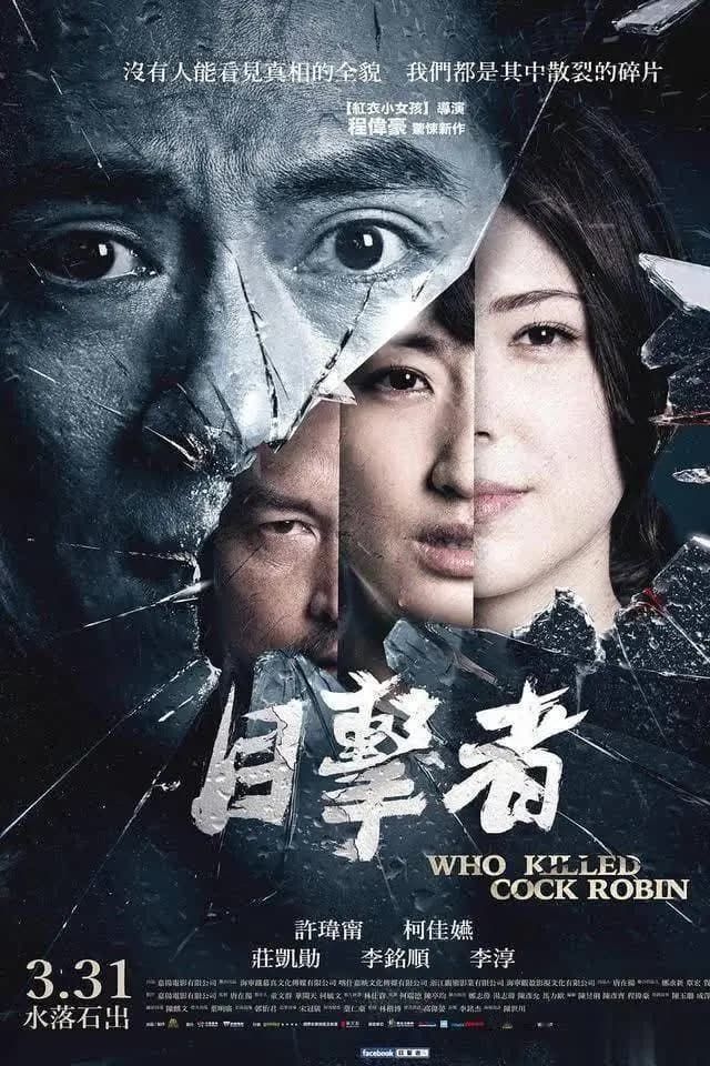 华语悬疑佳作《目击者之追凶》海报,程伟豪导演豆瓣高分作品