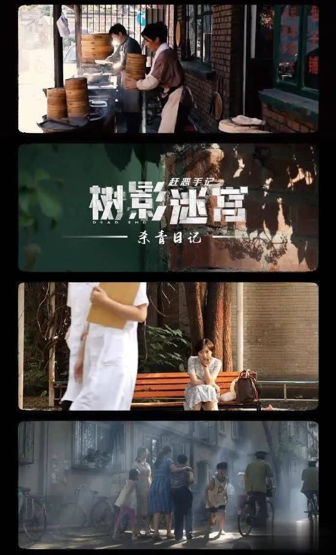 电视剧树影迷宫优酷海报