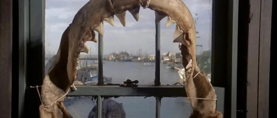 斯皮尔伯格电影《大白鲨》剧照