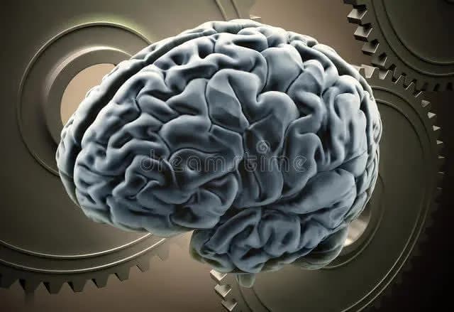 关注男性健康与伴侣沟通的重要性