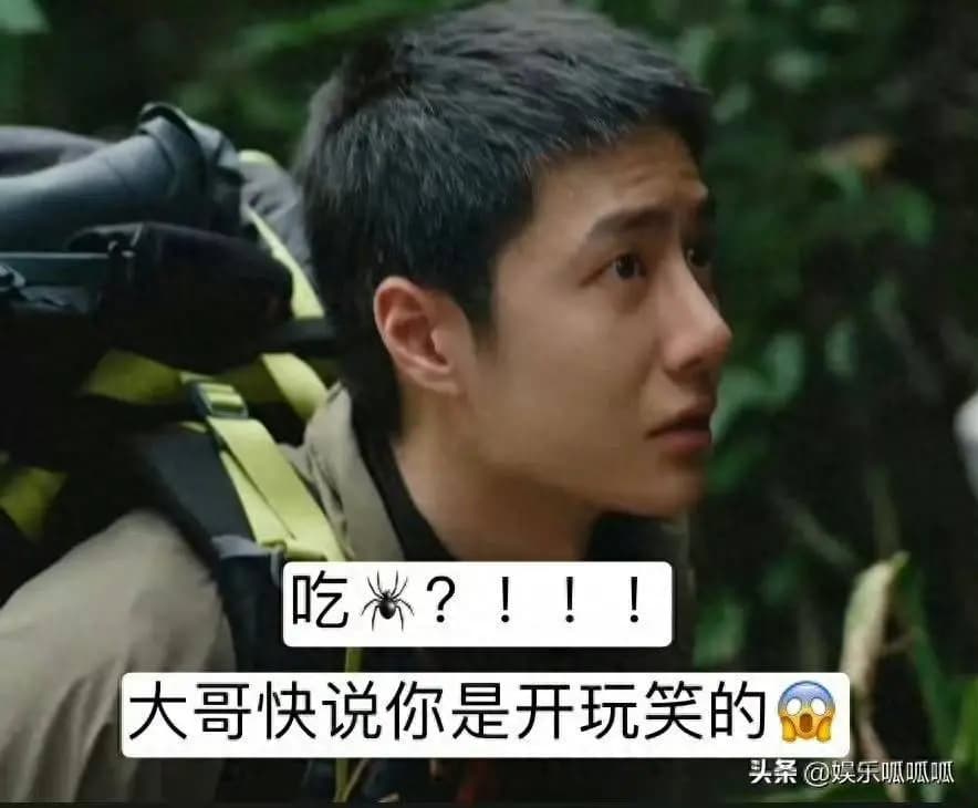 “吃蜘蛛?王一博的反应让网友笑到腹肌绷紧