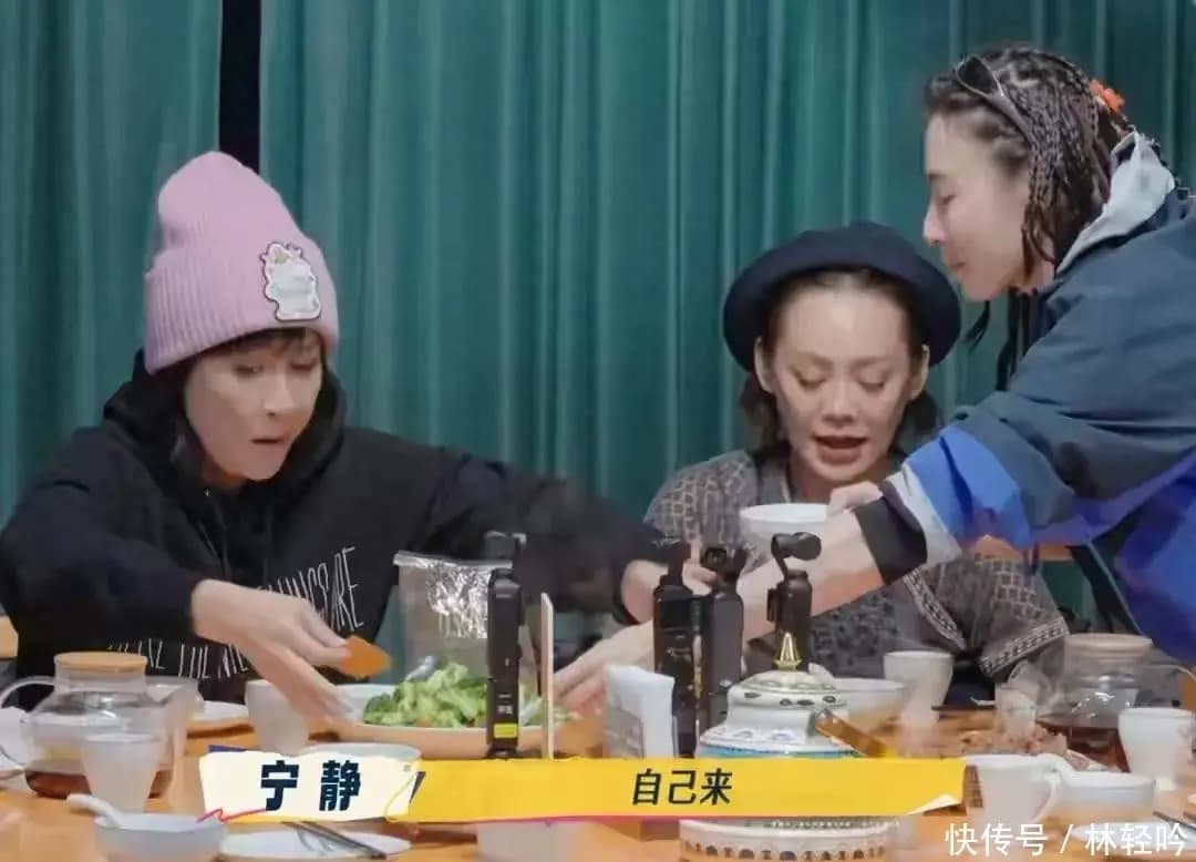 张柏芝刘嘉玲宁静在《一路繁花》节目中交流育儿心得