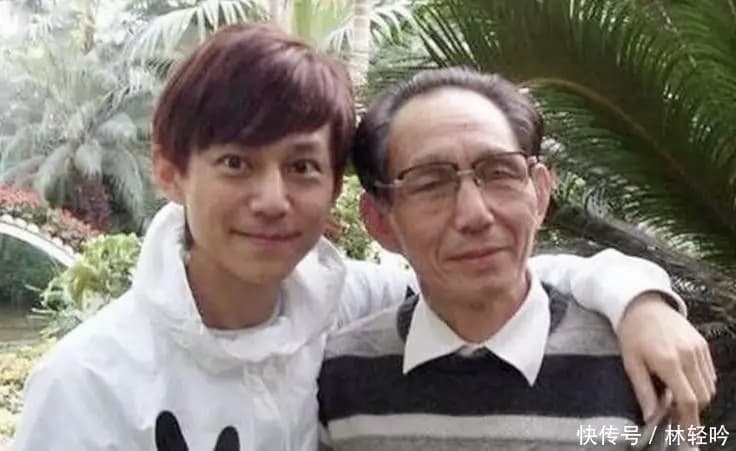 何炅父亲关联公司因拖欠款项被强制执行的过往案例