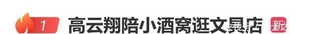 高云翔陪小酒窝逛文具店,网友:不是好丈夫,但是好爸爸