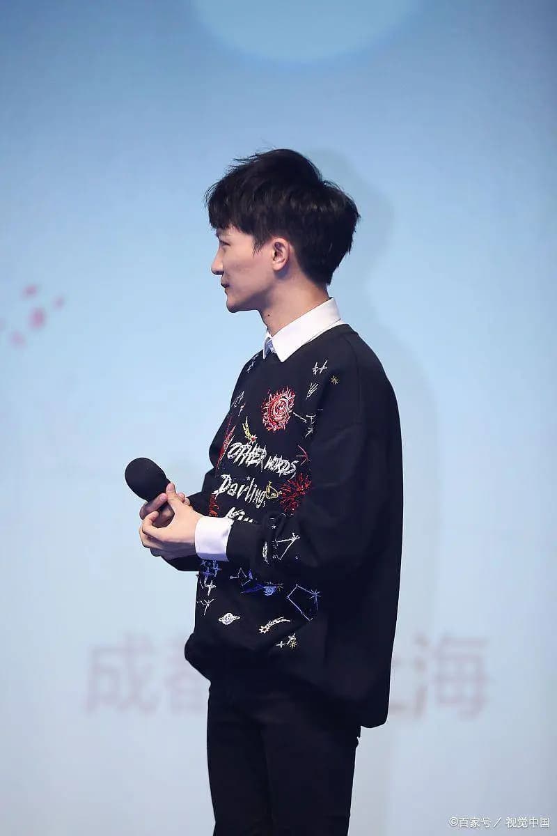 华语乐坛流量与实力派代表人物的数据分析