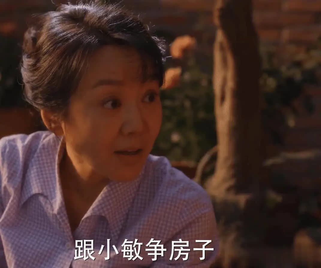 黄玲识破张阿妹借房阴谋保护宋莹家产