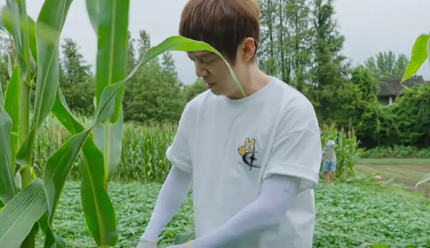 众人合力运送玉米