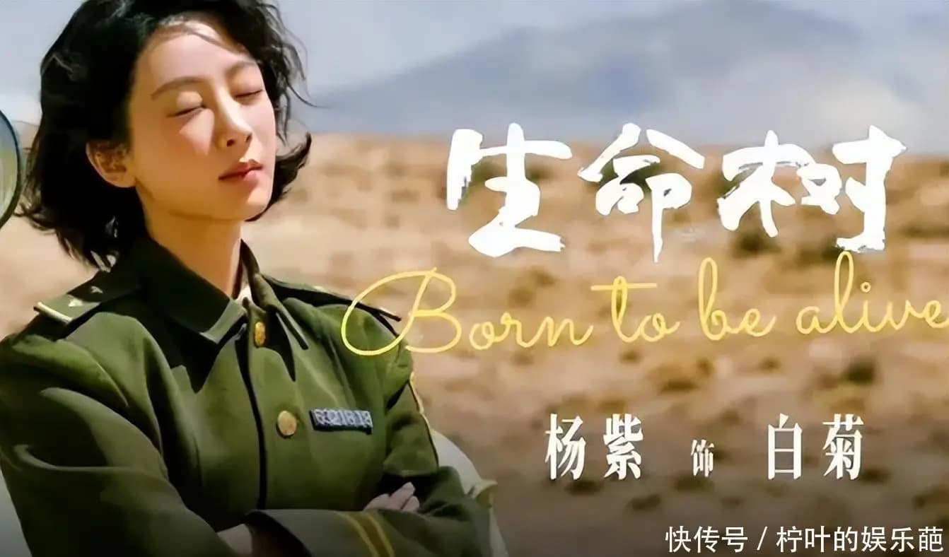 杨紫新剧《生命树》海报或相关物料