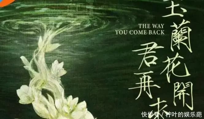 杨紫新剧《玉兰花开君再来》相关宣传图