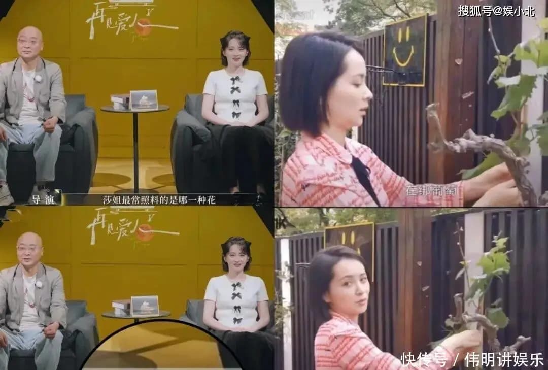 路行在节目体检环节回答邓莎最爱葡萄,与邓莎采访内容一致的对比图