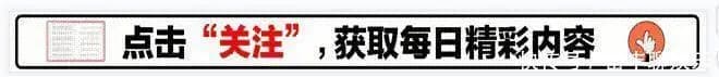 引导点赞关注的趣味表情或图片