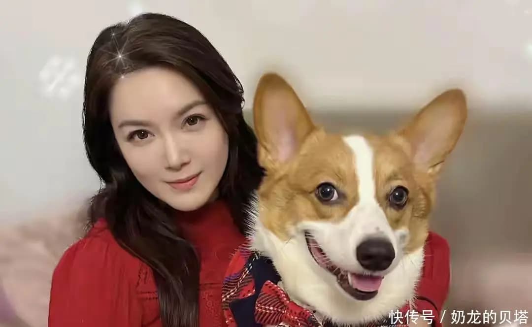 苟芸慧与爱犬互动展现单身生活