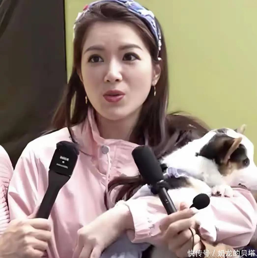 苟芸慧谈论新的择偶标准