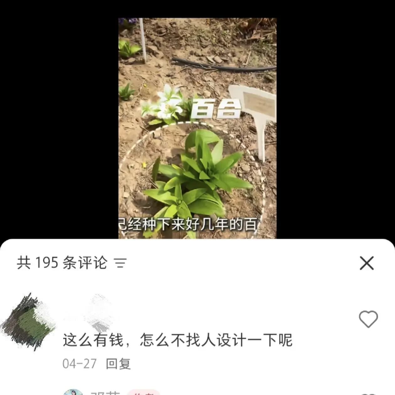 邓莎回复网友称没钱找院子设计