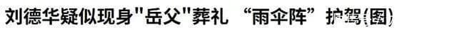天王父亲们的育儿心态与回归家庭的温情时刻