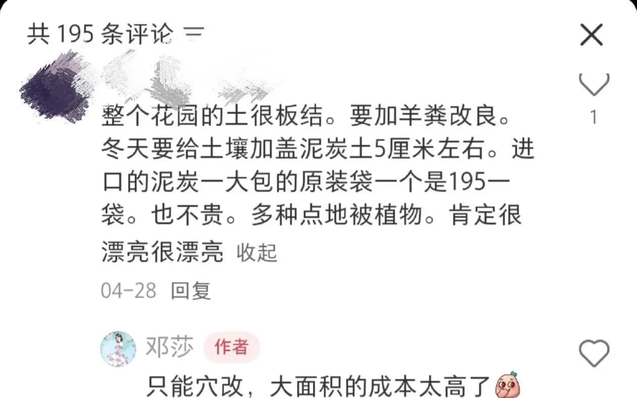 邓莎吐槽大面积改造院子成本太高