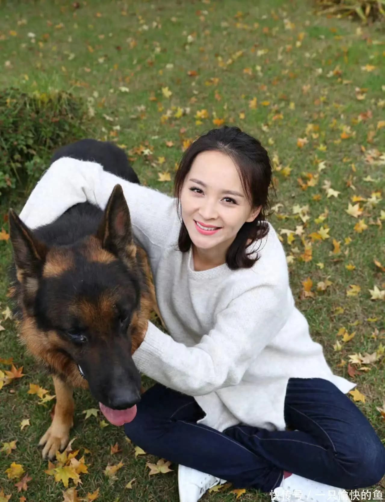 路行退出节目录制,邓莎代发声明,她一个人怎么录?