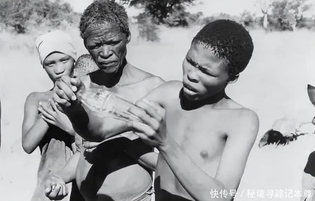 电影《上帝也疯狂》中原始部落与现代文明碰撞的幽默场景