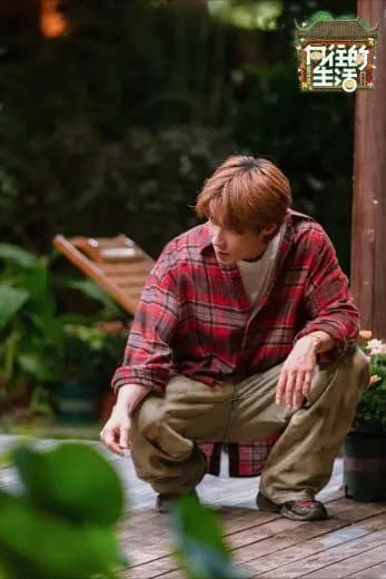 向往的生活乌镇风景空镜