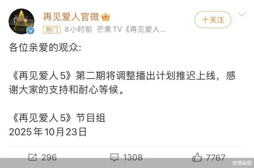 《再见爱人5》延期播出