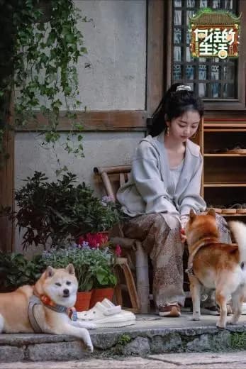 向往的生活嘉宾互动花絮