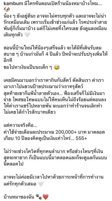 狗狗在宽敞的新家中休息