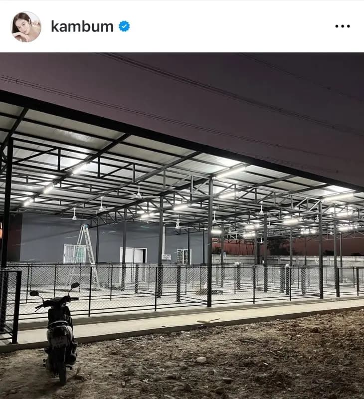 Gam Boom展示养狗的巨额开销账单