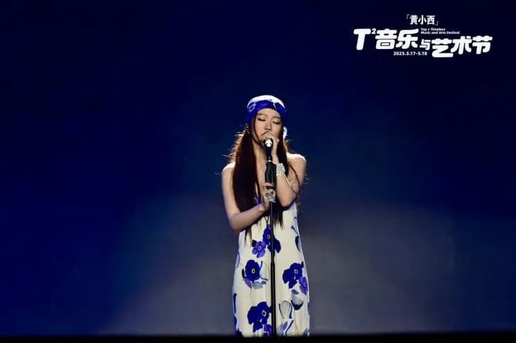 音乐节现场全景俯瞰